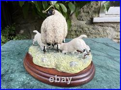 Border Fine Arts Sheep Group James Herriot Collection'Double Take' JH108