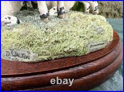 Border Fine Arts Sheep Group James Herriot Collection'Double Take' JH108