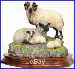 Border Fine Arts Shetland Sheep Family Group Limited edition Ray Ayres