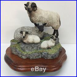 Border Fine Arts Shetland Sheep Family Group Limited edition Ray Ayres