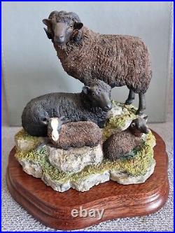 Border Fine Arts Shetland Sheep Family Ltd Edt 432/1250 R Ayres 2000 NEW