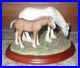 Border-Fine-Arts-Shire-Mare-Foal-A0188-01-izws
