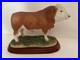 Border-Fine-Arts-Simmental-Bull-A0741-Cattle-County-Show-01-zn