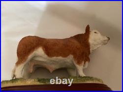 Border Fine Arts Simmental Bull A0741 Cattle County Show