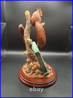 Border Fine Arts Society Figurine Red Squirrels Autumn Reds Boxed B0779