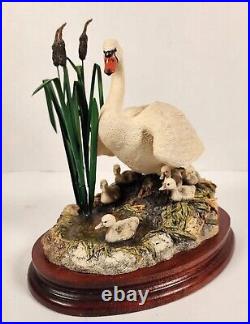 Border Fine Arts Society First One In B0109 Swan With Cygnets Ray Ayres