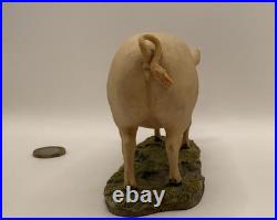 Border Fine Arts Sow (Large White) Model by Ray Ayres (107)