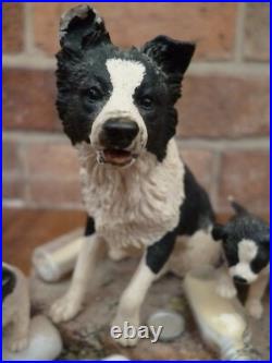 Border Fine Arts'Spilt Milk' Collie & Pups JH99 Herriot Collection By Ayres