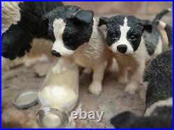 Border Fine Arts'Spilt Milk' Collie & Pups JH99 Herriot Collection By Ayres