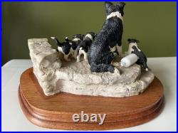 Border Fine Arts Spilt Milk JH99 Herriot Collection Ayres Border Collie Dogs