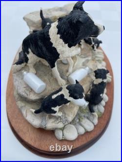 Border Fine Arts Spilt Milk JH99 Herriot Collection Ayres Border Collie Dogs