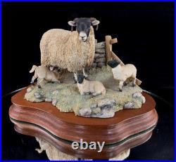 Border Fine Arts Spring Lambing JH6 1985 Sheep Figurine James Herriot Scotland