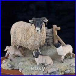 Border Fine Arts Spring Lambing JH6 1985 Sheep Figurine James Herriot Scotland
