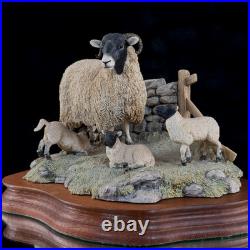 Border Fine Arts Spring Lambing JH6 1985 Sheep Figurine James Herriot Scotland