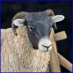 Border Fine Arts Spring Lambing JH6 1985 Sheep Figurine James Herriot Scotland