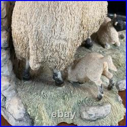 Border Fine Arts Spring Lambing JH6 1985 Sheep Figurine James Herriot Scotland