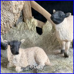 Border Fine Arts Spring Lambing JH6 1985 Sheep Figurine James Herriot Scotland