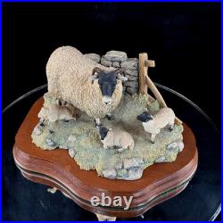 Border Fine Arts Spring Lambing JH6 1985 Sheep Figurine James Herriot Scotland