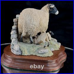 Border Fine Arts Spring Lambing JH6 1985 Sheep Figurine James Herriot Scotland