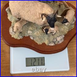 Border Fine Arts Spring Lambing JH6 1985 Sheep Figurine James Herriot Scotland