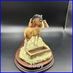 Border Fine Arts Spring Pastures JH32 Horse and Foal Model on Wooden Base RARE