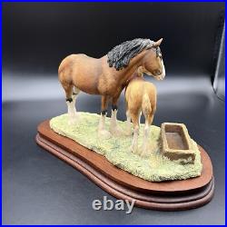 Border Fine Arts Spring Pastures JH32 Horse and Foal Model on Wooden Base RARE