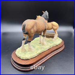 Border Fine Arts Spring Pastures JH32 Horse and Foal Model on Wooden Base RARE