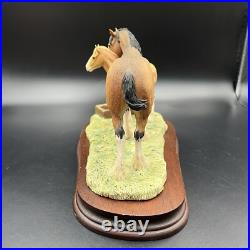 Border Fine Arts Spring Pastures JH32 Horse and Foal Model on Wooden Base RARE
