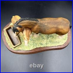 Border Fine Arts Spring Pastures JH32 Horse and Foal Model on Wooden Base RARE