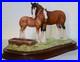 Border-Fine-Arts-Spring-Pastures-JH32-Rare-Vintage-Mare-Foal-Large-Tableau-01-cwyy