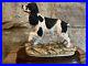 Border-Fine-Arts-Springer-Spaniel-81-Ray-Ayres-Mounted-On-Wooden-Plith-01-ckmg