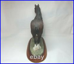 Border Fine Arts Stallion Shire Horse Stallions Figurine Figure A1460 Boxed Border Fine Arts Stallion Shire Horse Stallions Figurine Figure A1460 Boxed