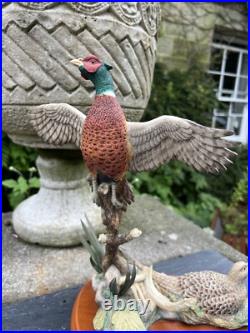 Border Fine Arts Studio Birds by R Roberts'Pheasant' Model A1392 2001 Border Fine Arts Studio Birds by R Roberts'Pheasant' Model A1392 2001