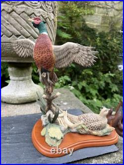 Border Fine Arts Studio Birds by R Roberts'Pheasant' Model A1392 2001 Border Fine Arts Studio Birds by R Roberts'Pheasant' Model A1392 2001