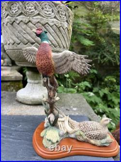 Border Fine Arts Studio Birds by R Roberts'Pheasant' Model A1392 2001 Border Fine Arts Studio Birds by R Roberts'Pheasant' Model A1392 2001