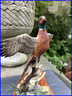 Border Fine Arts Studio Birds by R Roberts'Pheasant' Model A1392 2001 Border Fine Arts Studio Birds by R Roberts'Pheasant' Model A1392 2001