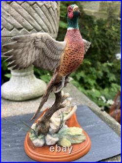 Border Fine Arts Studio Birds by R Roberts'Pheasant' Model A1392 2001 Border Fine Arts Studio Birds by R Roberts'Pheasant' Model A1392 2001