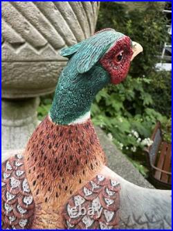 Border Fine Arts Studio Birds by R Roberts'Pheasant' Model A1392 2001 Border Fine Arts Studio Birds by R Roberts'Pheasant' Model A1392 2001