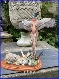 Border Fine Arts Studio Birds by R Roberts'Pheasant' Model A1392 2001 Border Fine Arts Studio Birds by R Roberts'Pheasant' Model A1392 2001