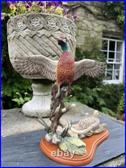 Border Fine Arts Studio Birds by R Roberts'Pheasant' Model A1392 2001 Border Fine Arts Studio Birds by R Roberts'Pheasant' Model A1392 2001