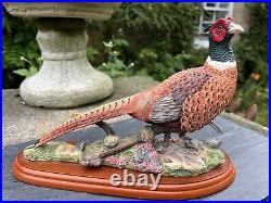 Border Fine Arts Studio Birds by Russell Willis'Pheasant' Model A1475