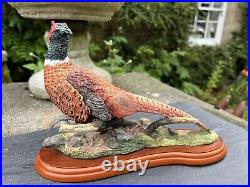 Border Fine Arts Studio Birds by Russell Willis'Pheasant' Model A1475