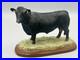 Border-Fine-Arts-Studio-Cattle-Aberdeen-Angus-Cow-Figure-01-ie