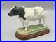 Border-Fine-Arts-Studio-Cattle-County-Show-Belgian-Blue-Bull-A0742-Figure-01-csvu