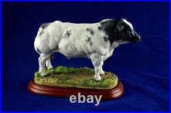 Border Fine Arts Studio Cattle County Show Belgian Blue Bull A0742 Figure