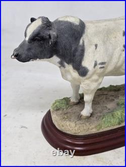 Border Fine Arts Studio, Cattle County Show Belgian Blue Bull A0742 Ornament
