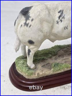 Border Fine Arts Studio, Cattle County Show Belgian Blue Bull A0742 Ornament