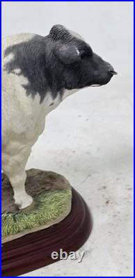 Border Fine Arts Studio, Cattle County Show Belgian Blue Bull A0742 Ornament