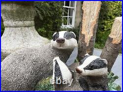 Border Fine Arts Studio MAMMALS'Badger & Young No. A20440