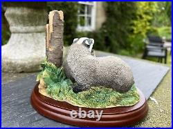 Border Fine Arts Studio MAMMALS'Badger & Young No. A20440